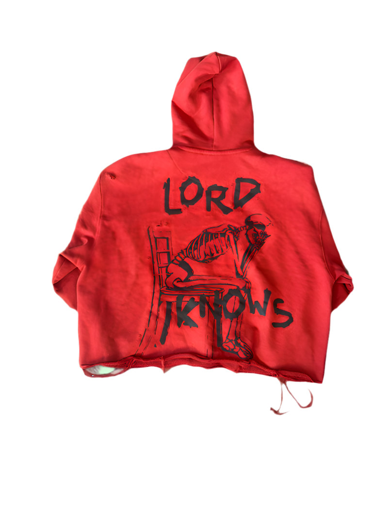 Protect me hoodie crop