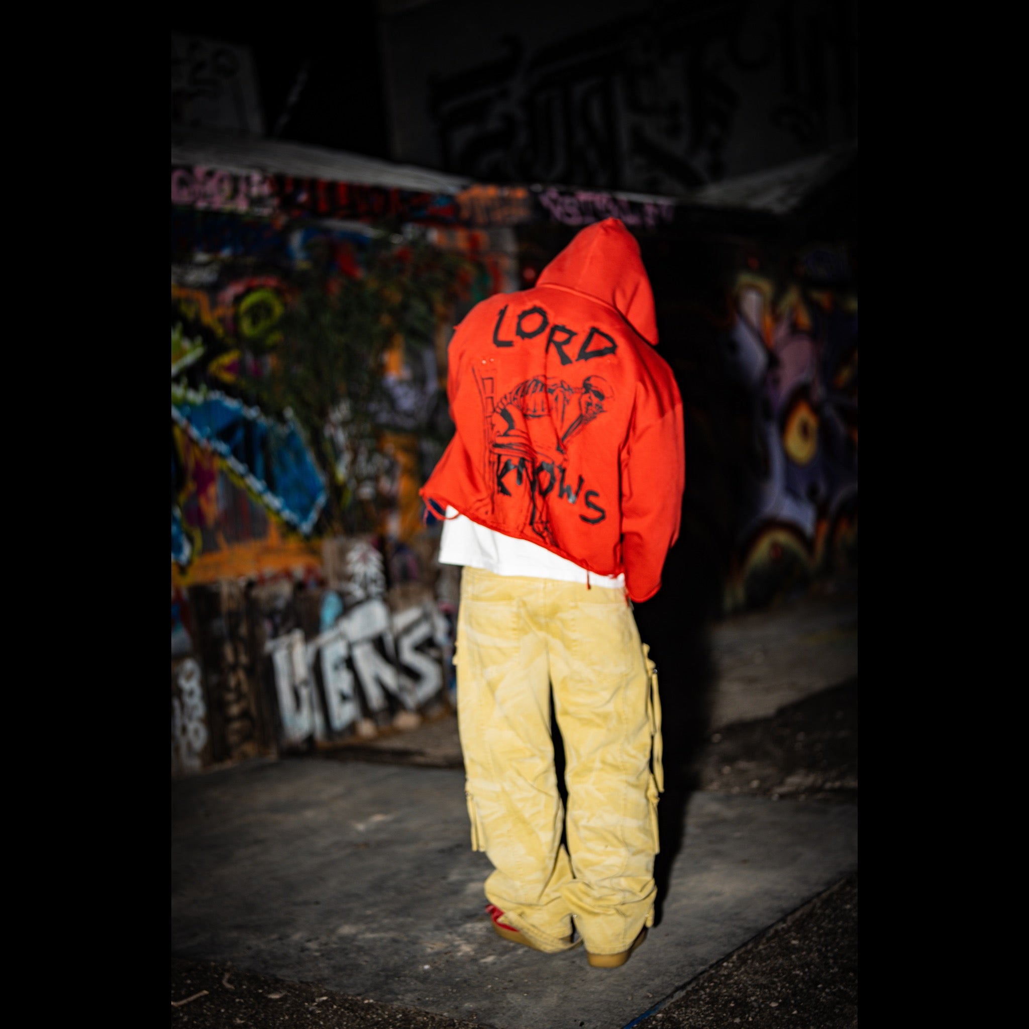 Protect me hoodie crop